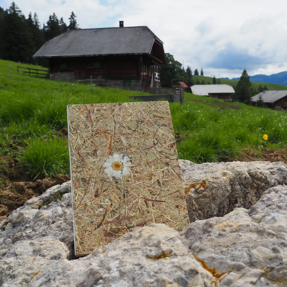 Buchbindekurs auf der Alp Wochenende 2027, Ansicht 12