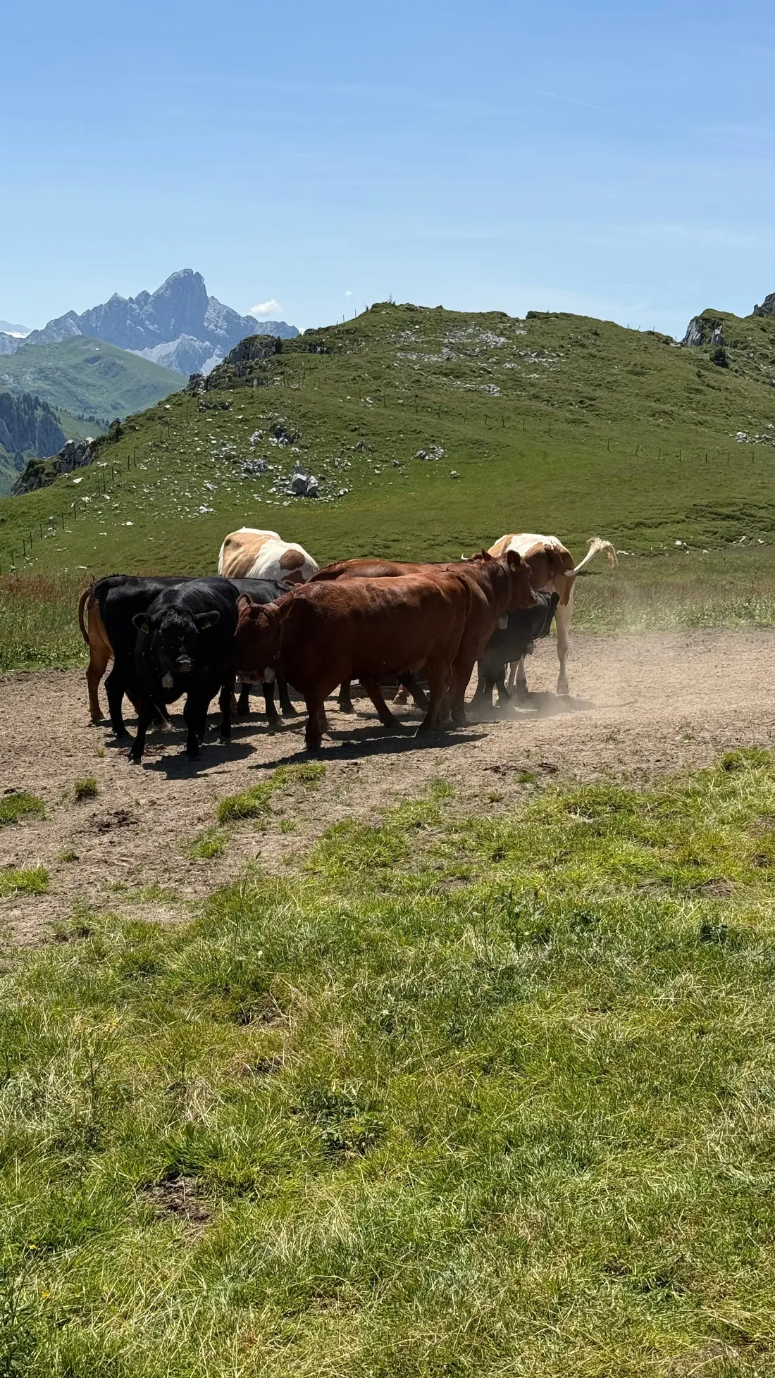 Buchbindekurs auf der Alp Wochenende 2027, Ansicht 16