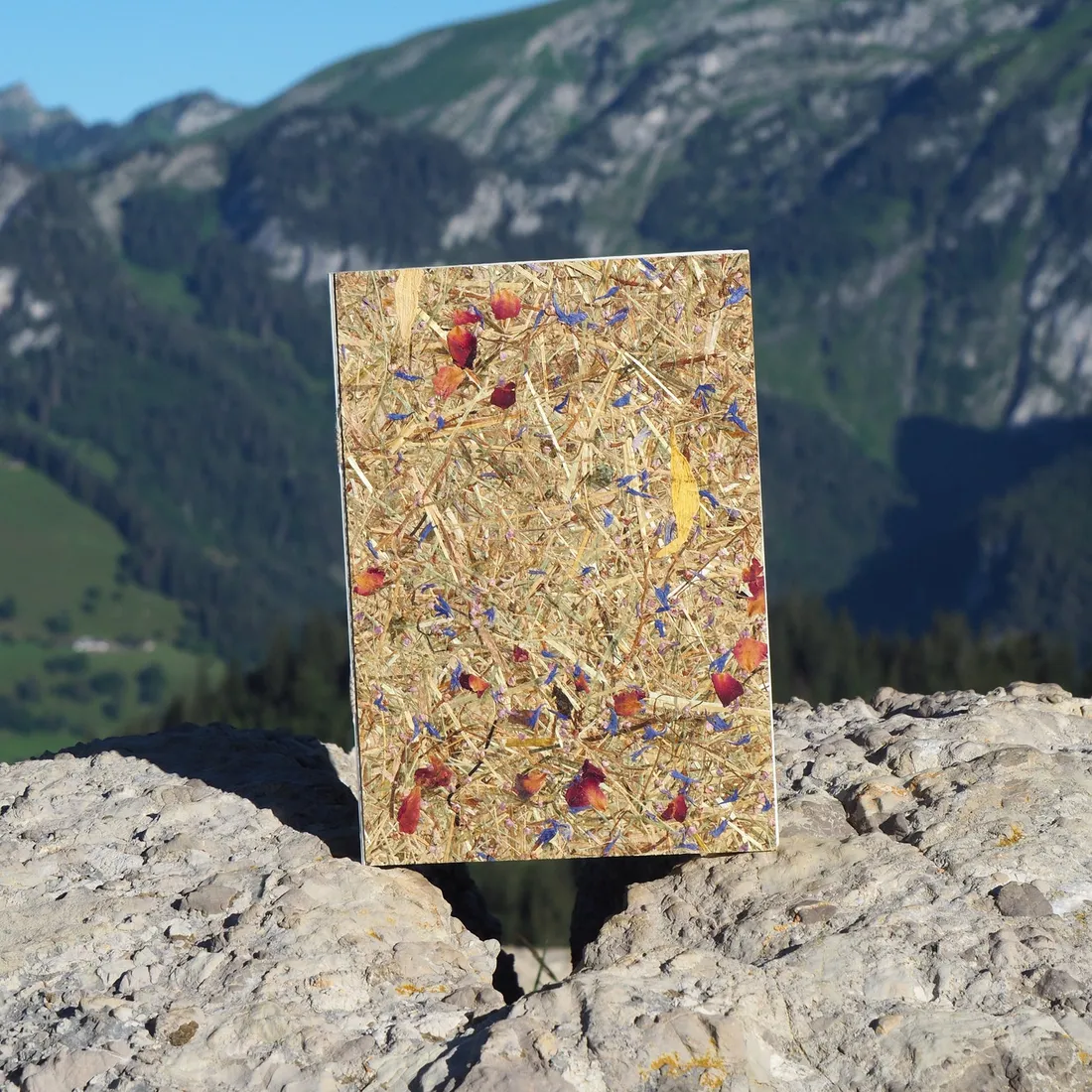 Buchbindekurs auf der Alp Wochenende 2027, Ansicht 17