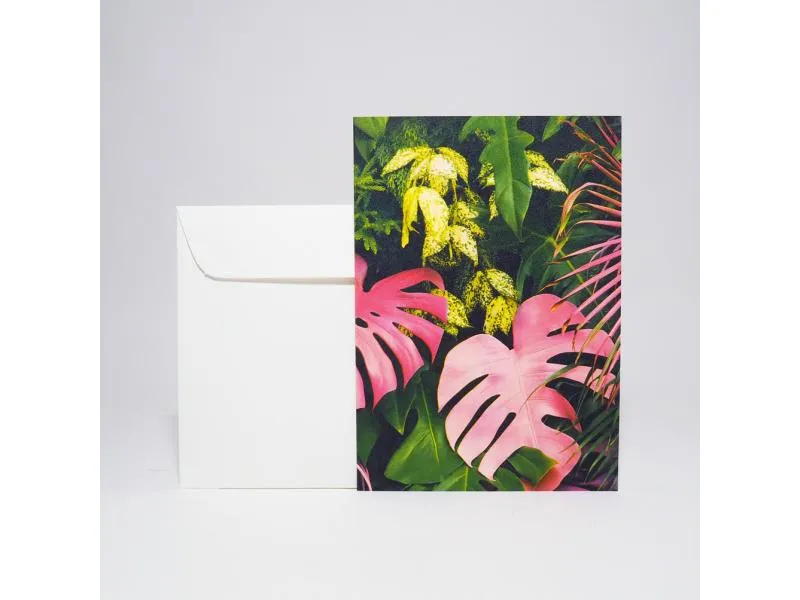 Dschungel / jungle pink