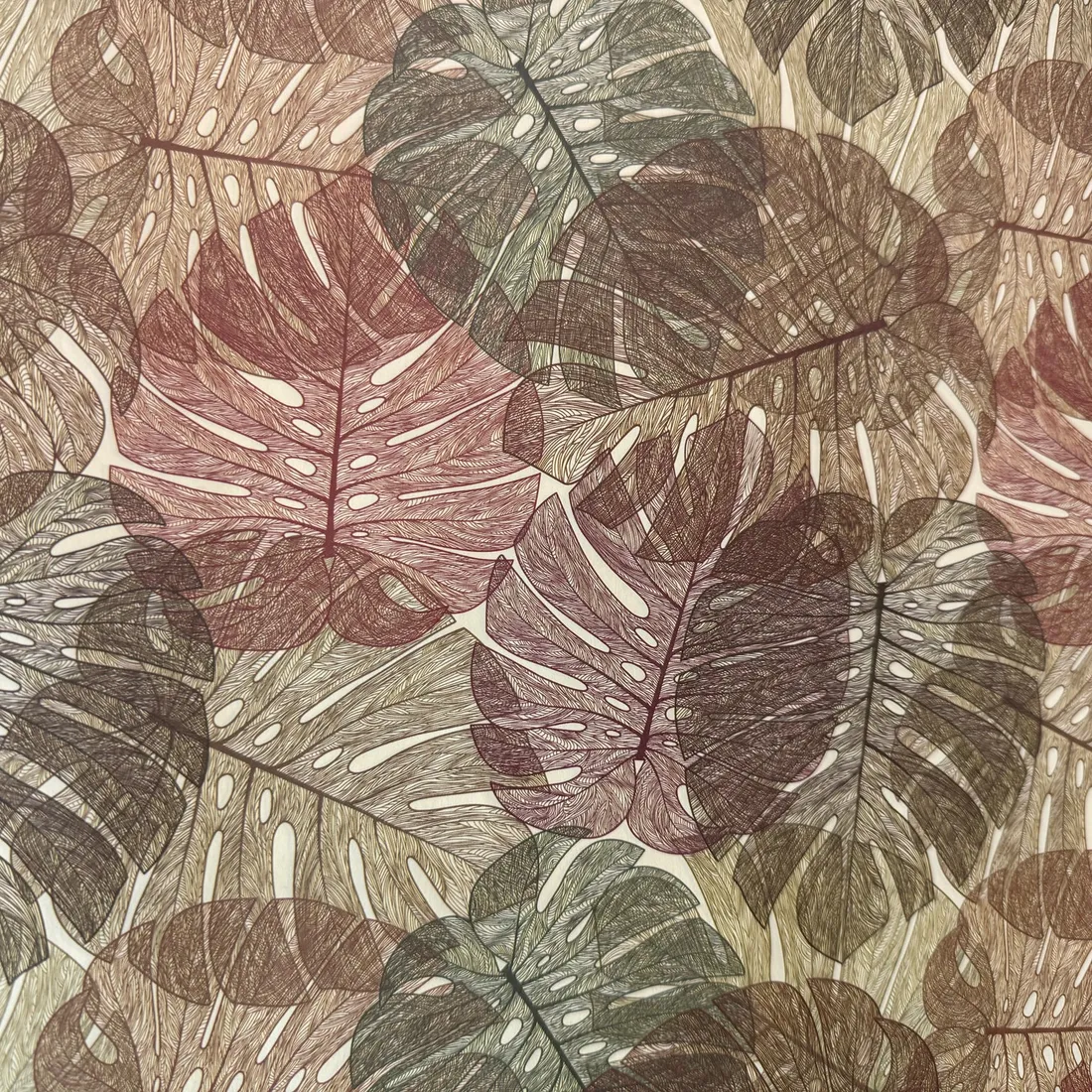 Philodendron