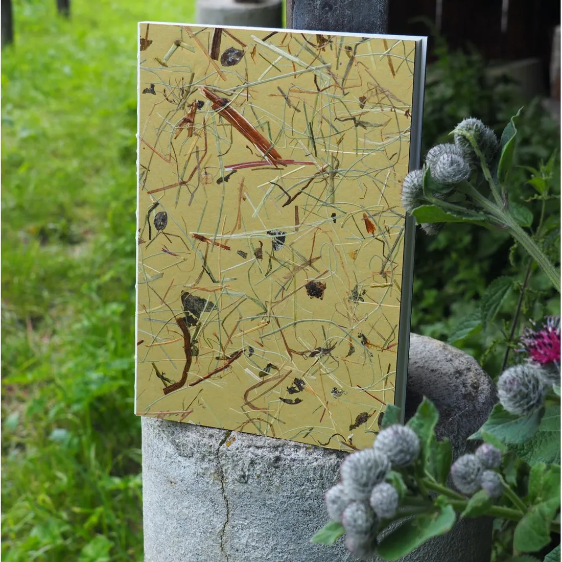Wildspitze gold