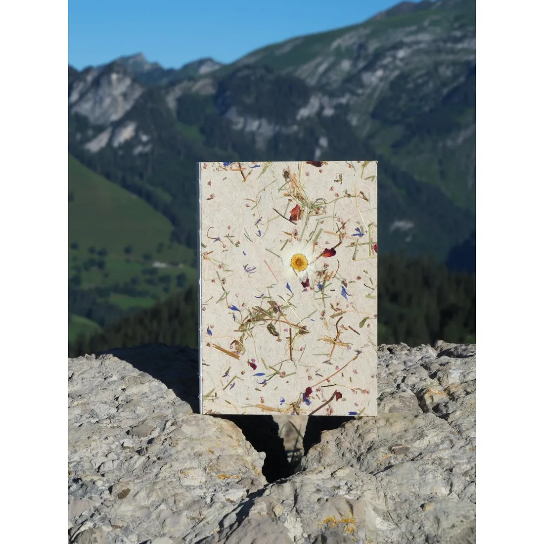 Almwiese light mit Margerite
